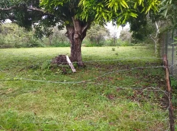 Se vende terreno en Punta Barco