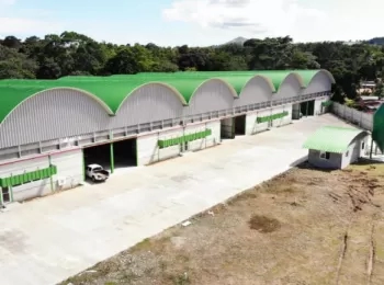 Se alquilan bodegas en Central Park Aguadulce