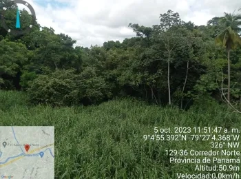 Se vende Terreno de 3,000m2 , colinda al corredor Norte y el Río Juan Díaz
